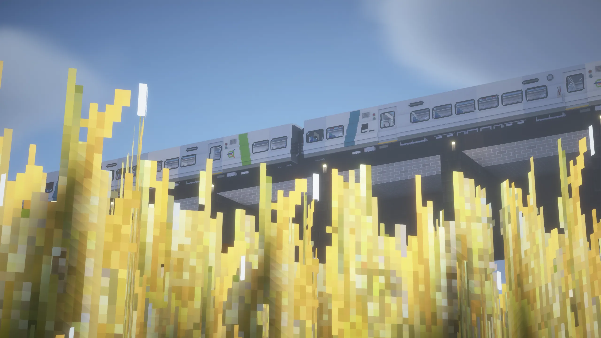 A train on the old Bayside Branch passing above a ripe wheat field